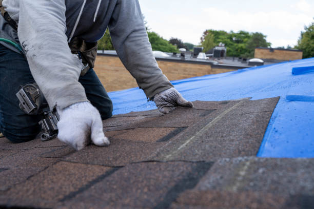 Best Roof Waterproofing Services  in Norwalk, OH